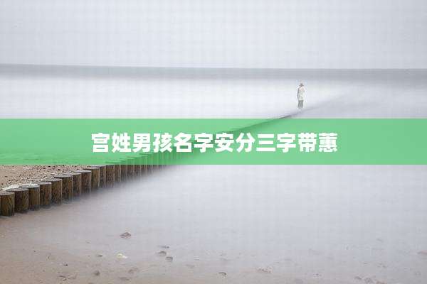 宫姓男孩名字安分三字带蕙