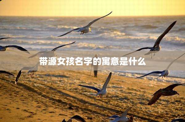 带源女孩名字的寓意是什么