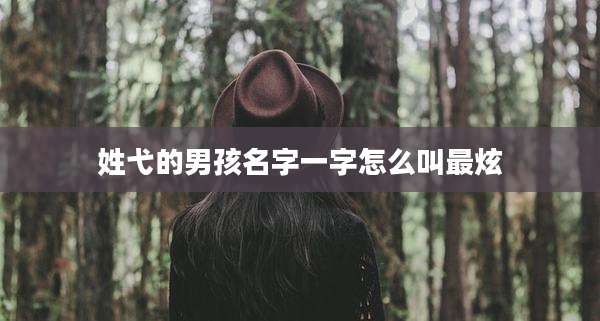 姓弋的男孩名字一字怎么叫最炫