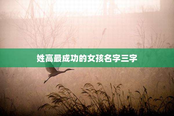 姓高最成功的女孩名字三字