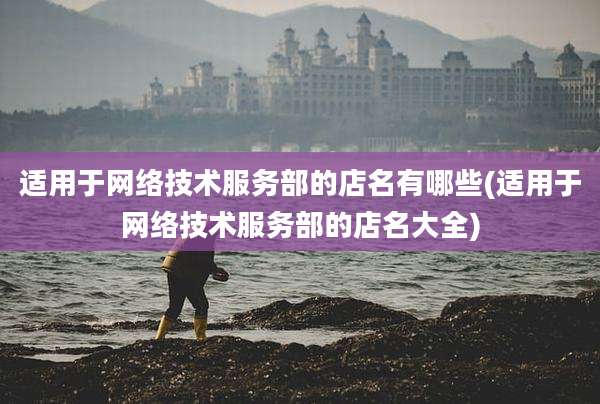 适用于网络技术服务部的店名有哪些(适用于网络技术服务部的店名大全)