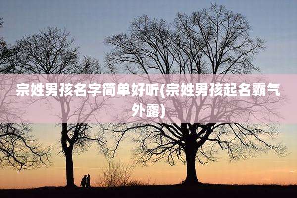 宗姓男孩名字简单好听(宗姓男孩起名霸气外露)