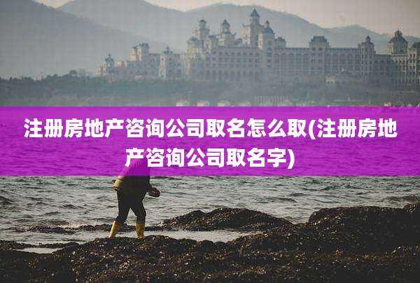 注册房地产咨询公司取名怎么取(注册房地产咨询公司取名字)