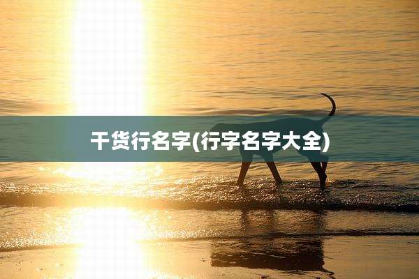干货行名字(行字名字大全)
