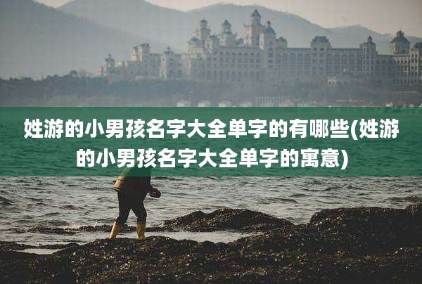 姓游的小男孩名字大全单字的有哪些(姓游的小男孩名字大全单字的寓意)