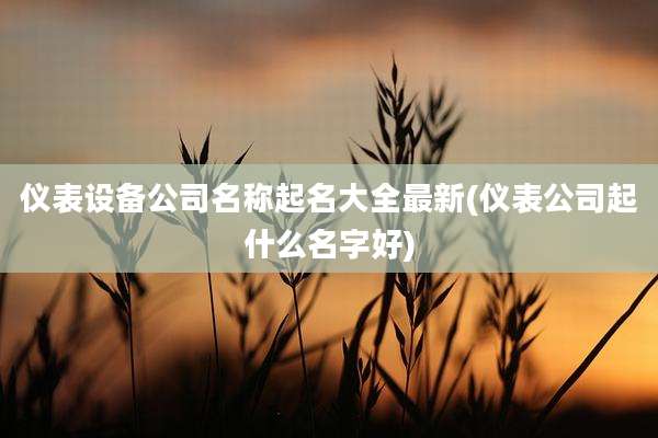 仪表设备公司名称起名大全最新(仪表公司起什么名字好)