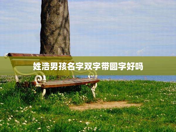 姓浩男孩名字双字带圆字好吗
