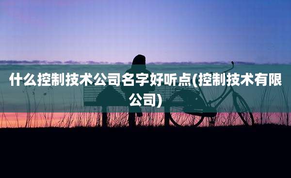 什么控制技术公司名字好听点(控制技术有限公司)