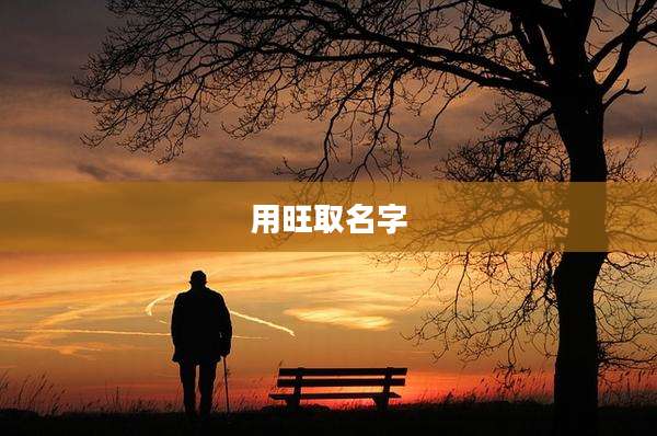 用旺取名字