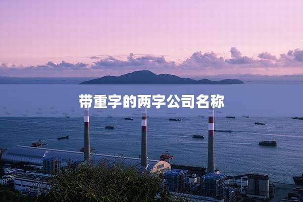 带重字的两字公司名称