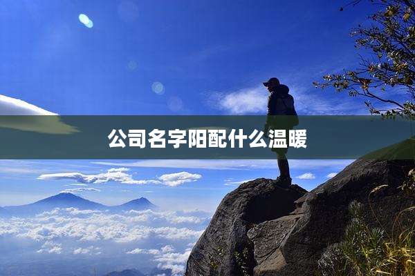 公司名字阳配什么温暖