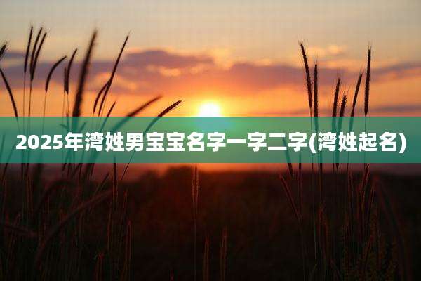 2025年湾姓男宝宝名字一字二字(湾姓起名)