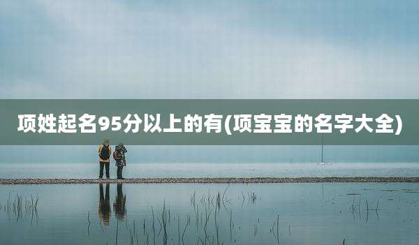 项姓起名95分以上的有(项宝宝的名字大全)