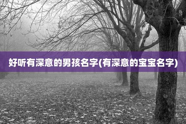 好听有深意的男孩名字(有深意的宝宝名字)