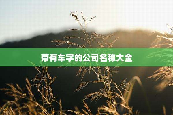 带有车字的公司名称大全