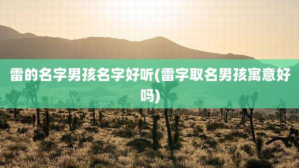 雷的名字男孩名字好听(雷字取名男孩寓意好吗)