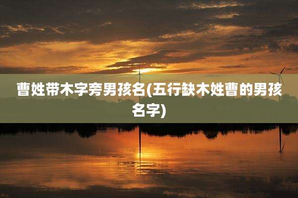 曹姓带木字旁男孩名(五行缺木姓曹的男孩名字)