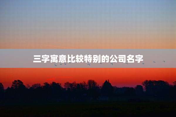 三字寓意比较特别的公司名字