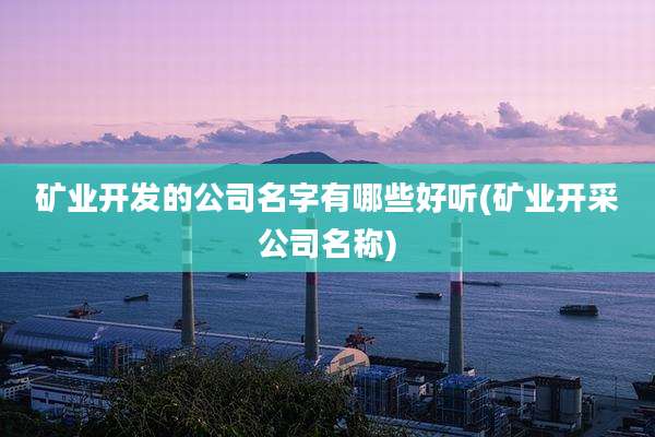 矿业开发的公司名字有哪些好听(矿业开采公司名称)