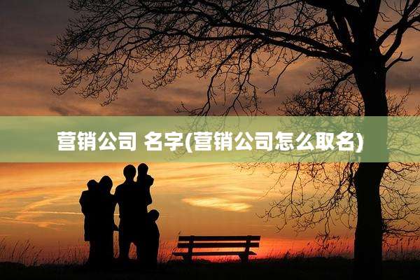 营销公司 名字(营销公司怎么取名)