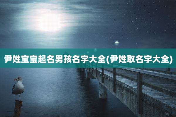 尹姓宝宝起名男孩名字大全(尹姓取名字大全)