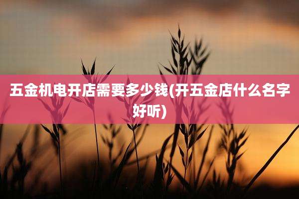 五金机电开店需要多少钱(开五金店什么名字好听)