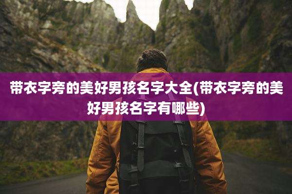 带衣字旁的美好男孩名字大全(带衣字旁的美好男孩名字有哪些)