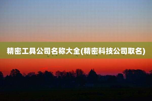 精密工具公司名称大全(精密科技公司取名)