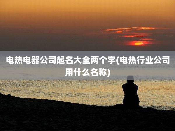 电热电器公司起名大全两个字(电热行业公司用什么名称)