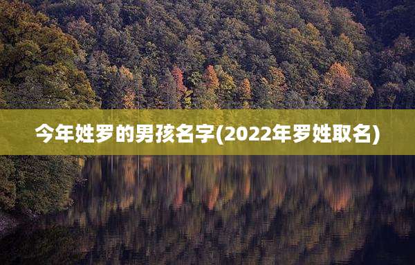今年姓罗的男孩名字(2022年罗姓取名)