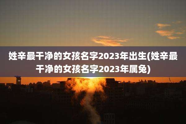 姓辛最干净的女孩名字2023年出生(姓辛最干净的女孩名字2023年属兔)