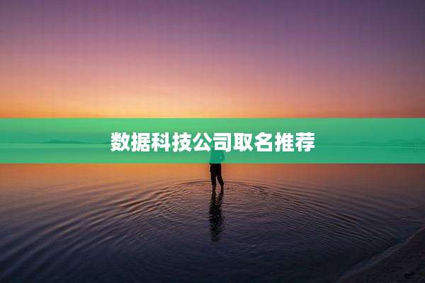 数据科技公司取名推荐