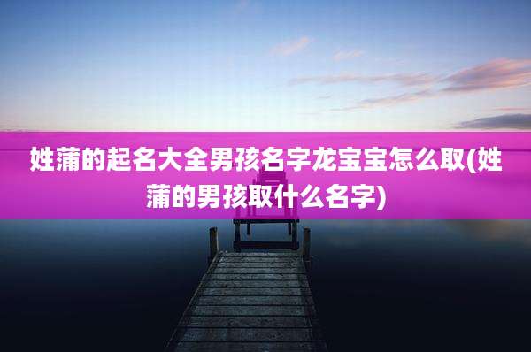 姓蒲的起名大全男孩名字龙宝宝怎么取(姓蒲的男孩取什么名字)