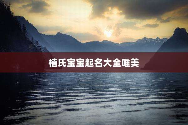 植氏宝宝起名大全唯美