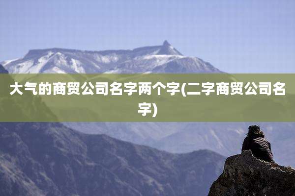 大气的商贸公司名字两个字(二字商贸公司名字)