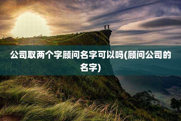 公司取两个字顾问名字可以吗(顾问公司的名字)