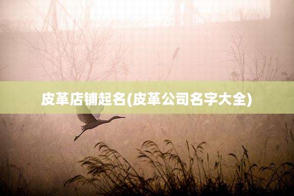 皮革店铺起名(皮革公司名字大全)