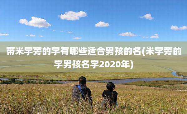 带米字旁的字有哪些适合男孩的名(米字旁的字男孩名字2020年)