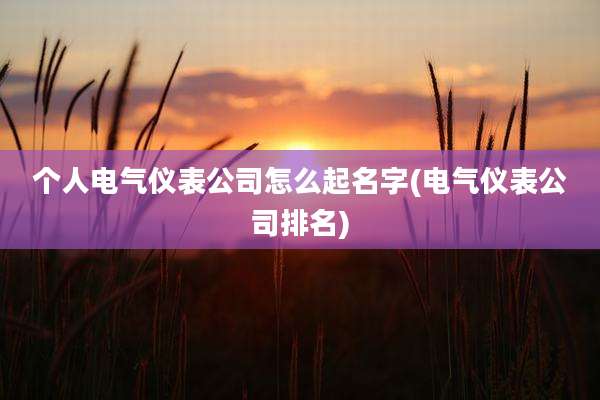 个人电气仪表公司怎么起名字(电气仪表公司排名)