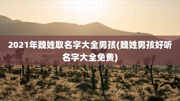 2021年魏姓取名字大全男孩(魏姓男孩好听名字大全免费)