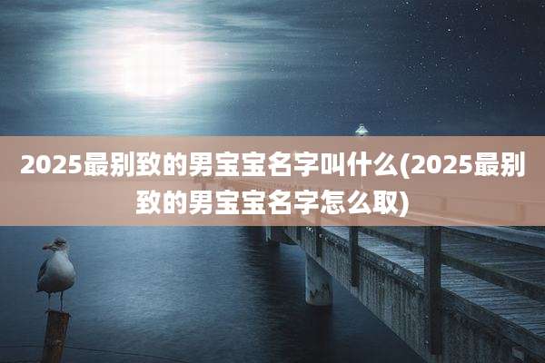 2025最别致的男宝宝名字叫什么(2025最别致的男宝宝名字怎么取)