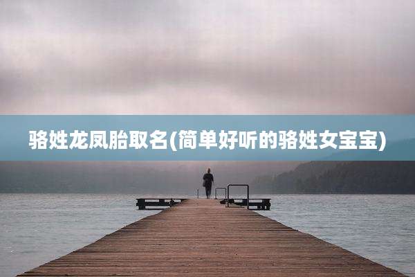 骆姓龙凤胎取名(简单好听的骆姓女宝宝)