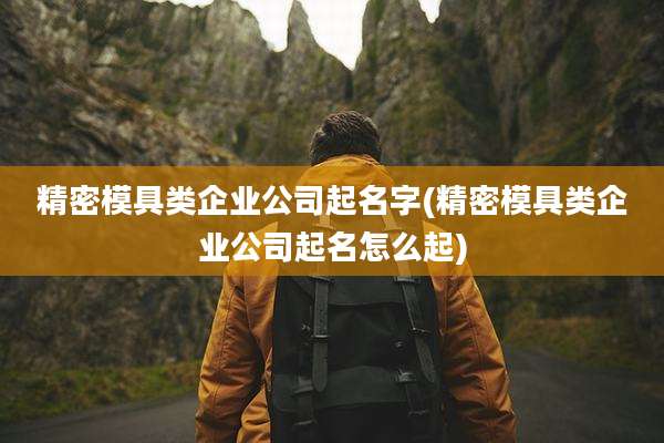 精密模具类企业公司起名字(精密模具类企业公司起名怎么起)