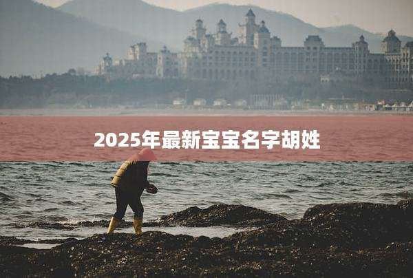 2025年最新宝宝名字胡姓