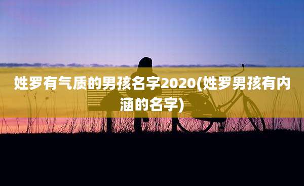 姓罗有气质的男孩名字2020(姓罗男孩有内涵的名字)