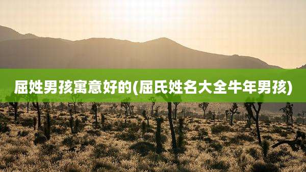 屈姓男孩寓意好的(屈氏姓名大全牛年男孩)