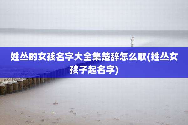 姓丛的女孩名字大全集楚辞怎么取(姓丛女孩子起名字)