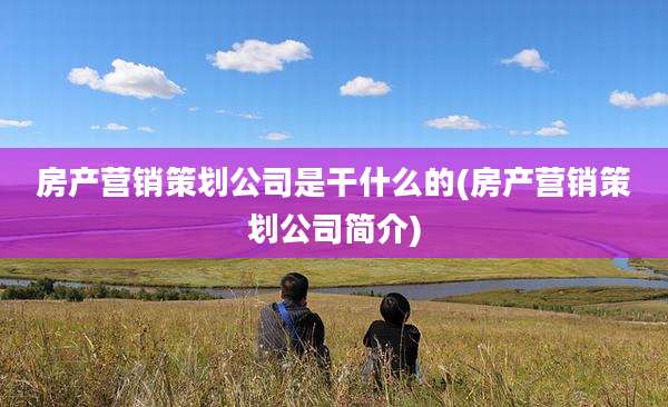 房产营销策划公司是干什么的(房产营销策划公司简介)