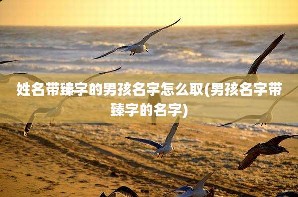 姓名带臻字的男孩名字怎么取(男孩名字带臻字的名字)