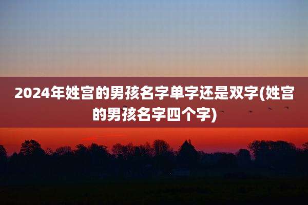 2024年姓宫的男孩名字单字还是双字(姓宫的男孩名字四个字)